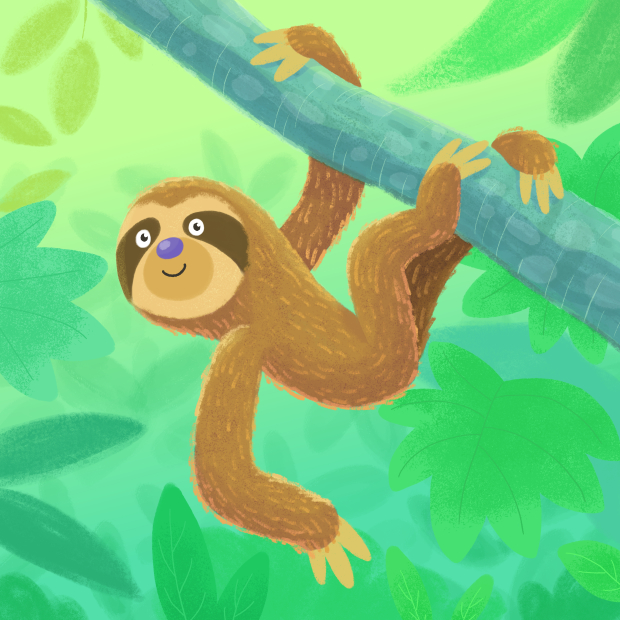 sloth